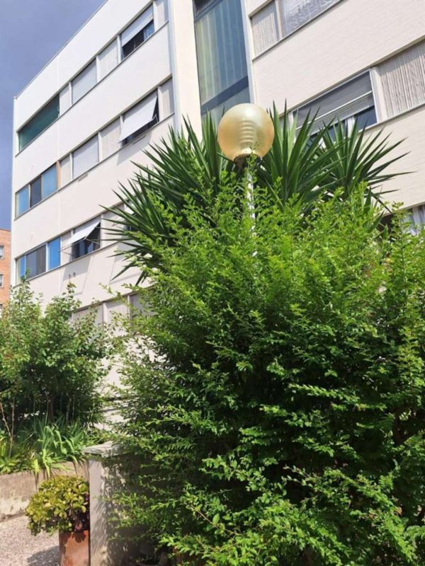 appartamento in vendita a Pisa in zona Cisanello