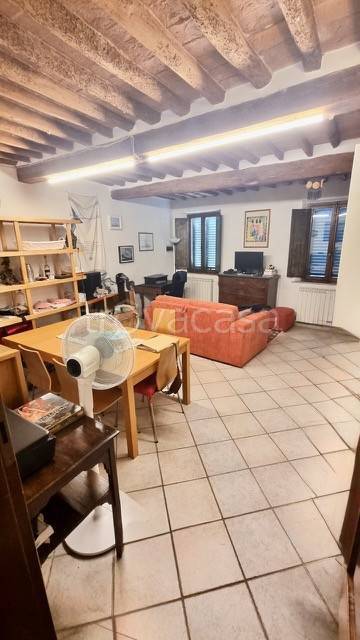 appartamento in vendita a Pisa