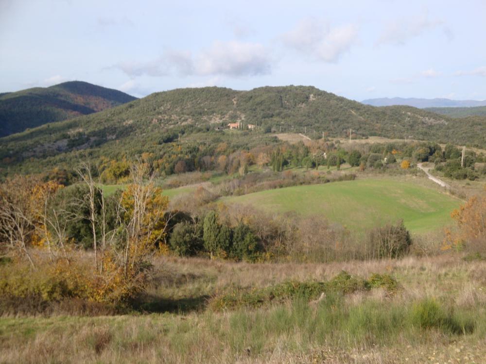 terreno agricolo in vendita a Pomarance in zona Serrazzano