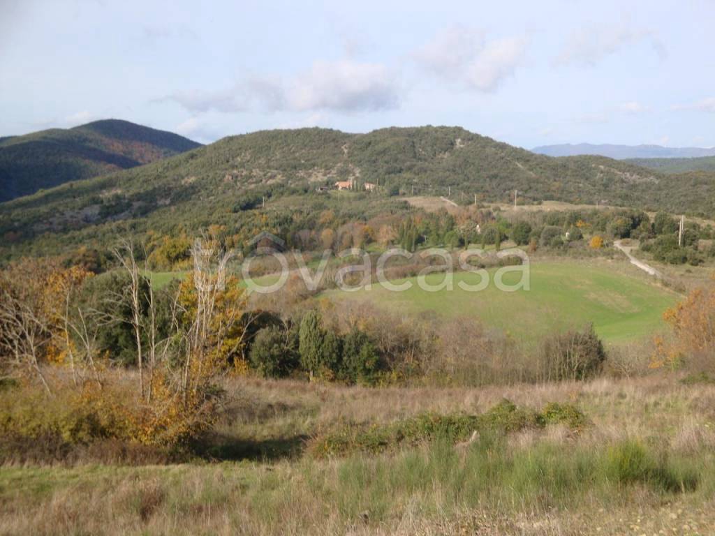 terreno agricolo in vendita a Pomarance in zona Serrazzano