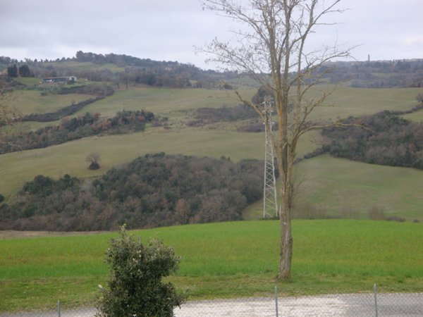 terreno agricolo in vendita a Pomarance