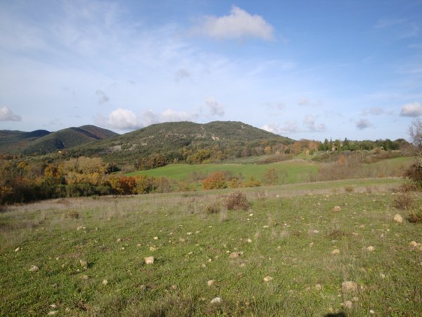 terreno agricolo in vendita a Pomarance in zona Serrazzano