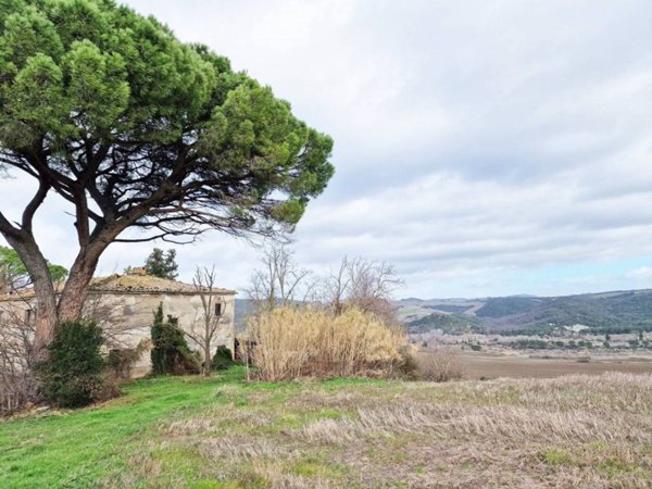 esavano in vendita a Pomarance