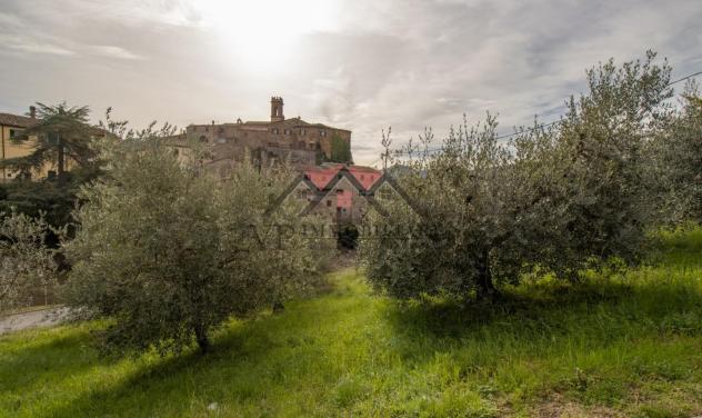 terreno agricolo in vendita a Pomarance in zona Montecerboli