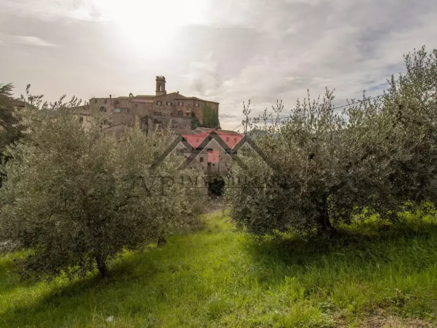 terreno agricolo in vendita a Pomarance in zona Montecerboli