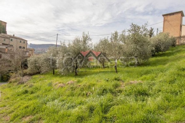 terreno agricolo in vendita a Pomarance in zona Montecerboli