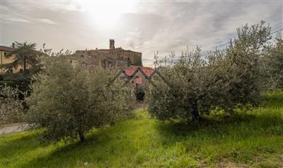 terreno agricolo in vendita a Pomarance in zona Montecerboli