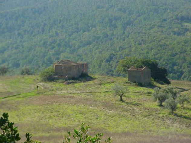 terreno agricolo in vendita a Pomarance