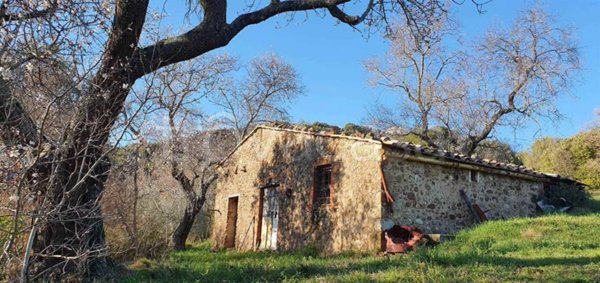 appartamento in vendita a Pomarance in zona Lustignano