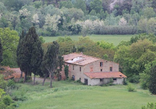 terreno agricolo in vendita a Pomarance
