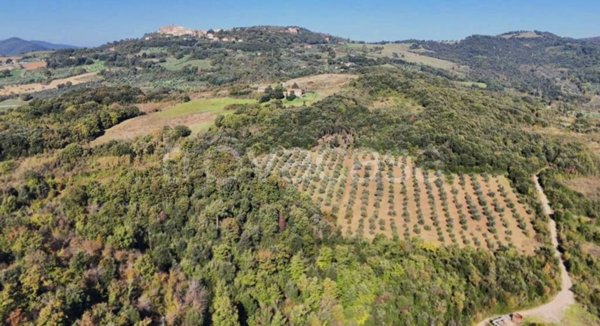 appartamento in vendita a Pomarance in zona Serrazzano