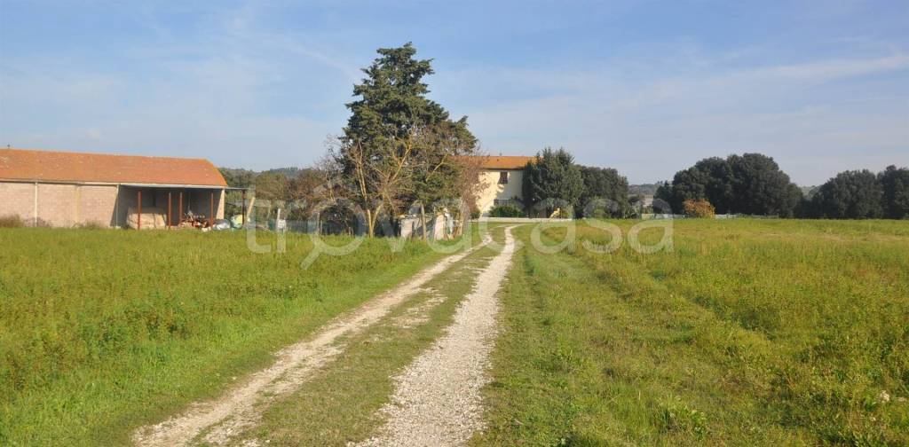 capannone in vendita a Pomarance