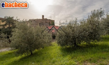 terreno agricolo in vendita a Pomarance in zona Montecerboli