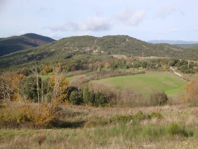 terreno agricolo in vendita a Pomarance in zona Serrazzano