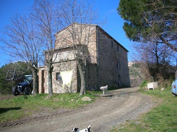 negozio in vendita a Pomarance