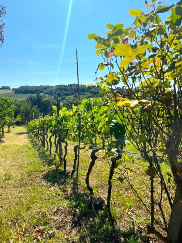 casale in vendita a Pomarance