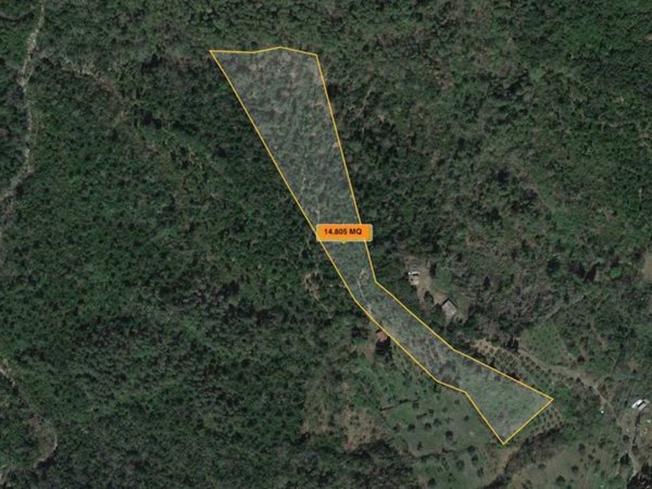 terreno agricolo in vendita a Pomarance