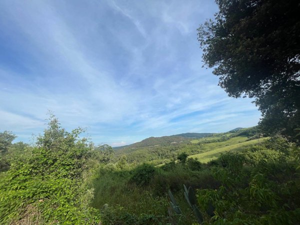 terreno agricolo in vendita a Pomarance in zona Montecerboli