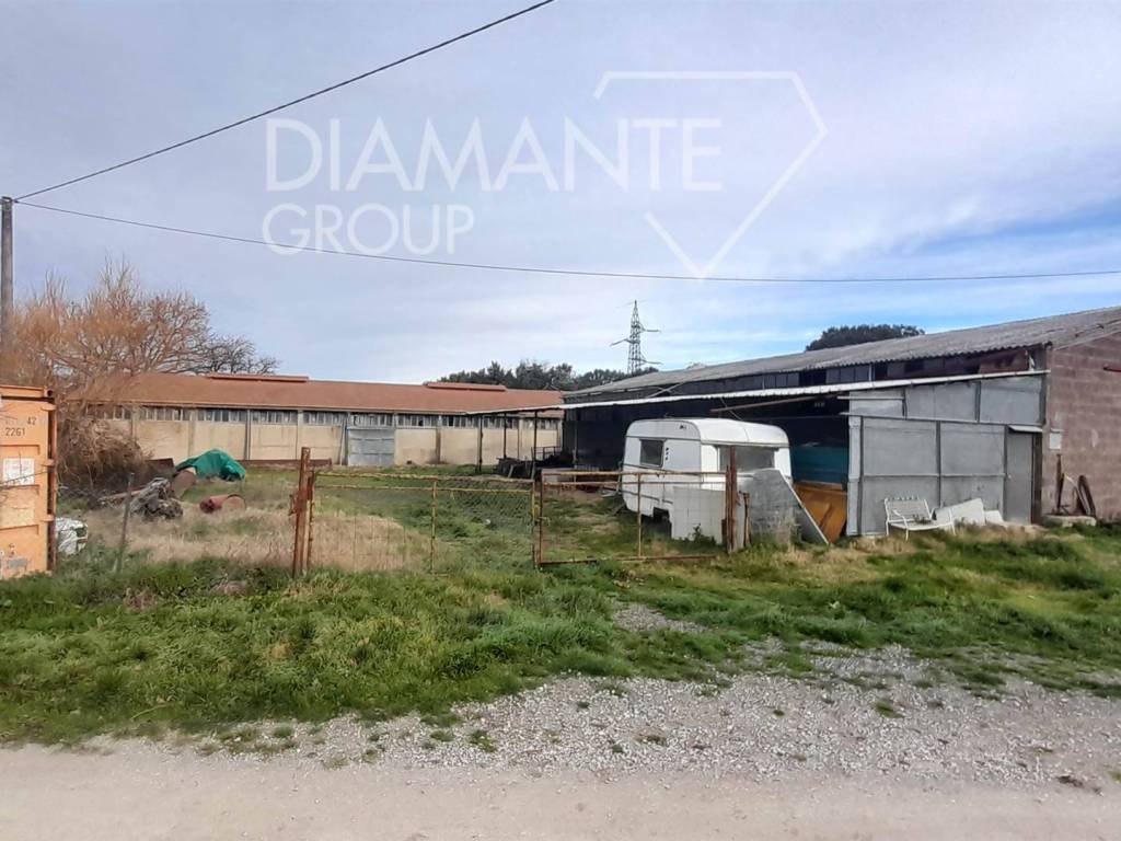 azienda agricola in vendita a Pomarance