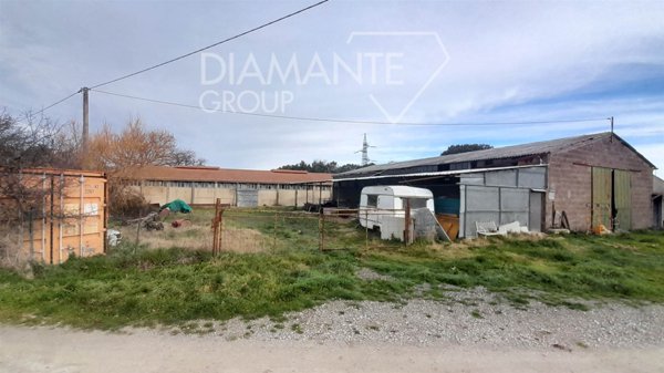 azienda agricola in vendita a Pomarance