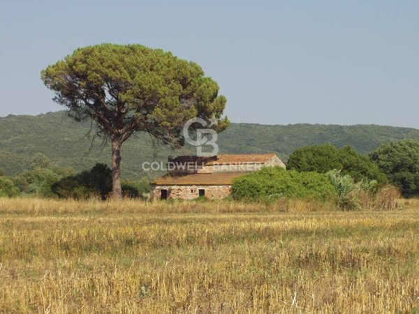 terreno agricolo in vendita a Pomarance