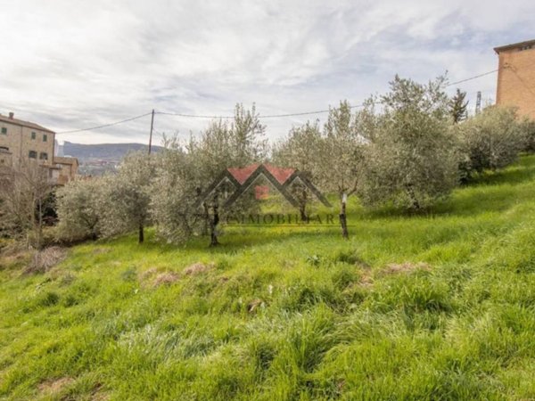 terreno agricolo in vendita a Pomarance in zona Montecerboli