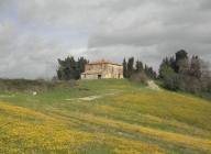 casa indipendente in vendita a Pomarance