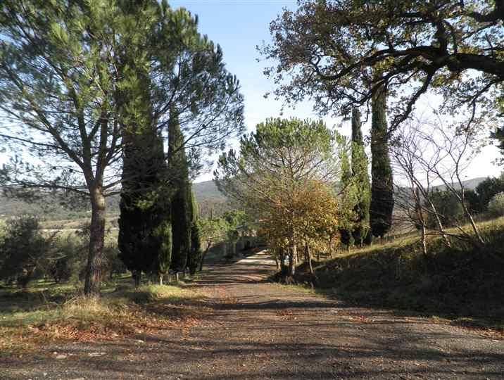 locale di sgombero in vendita a Pomarance