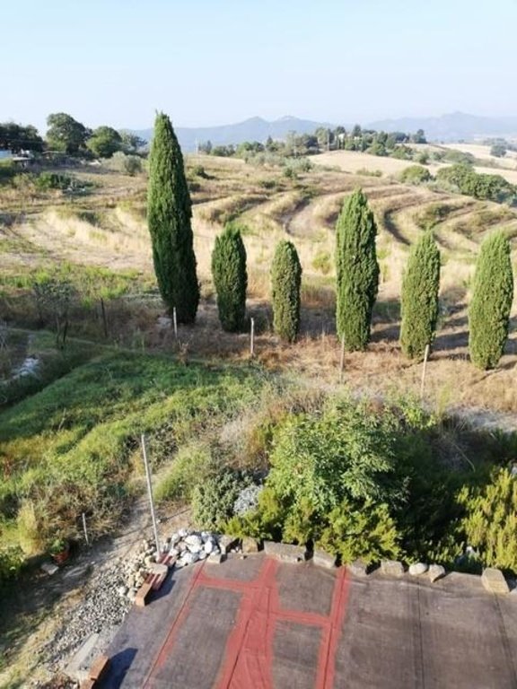 casa indipendente in vendita a Pomarance
