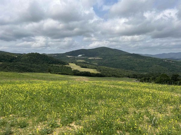terreno agricolo in vendita a Pomarance in zona Lustignano