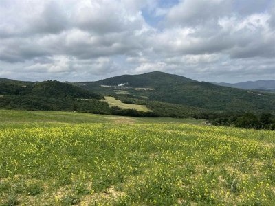 terreno agricolo in vendita a Pomarance in zona Lustignano