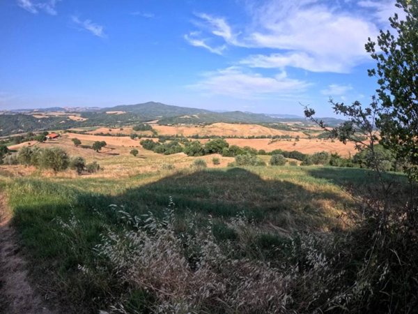 negozio in vendita a Pomarance