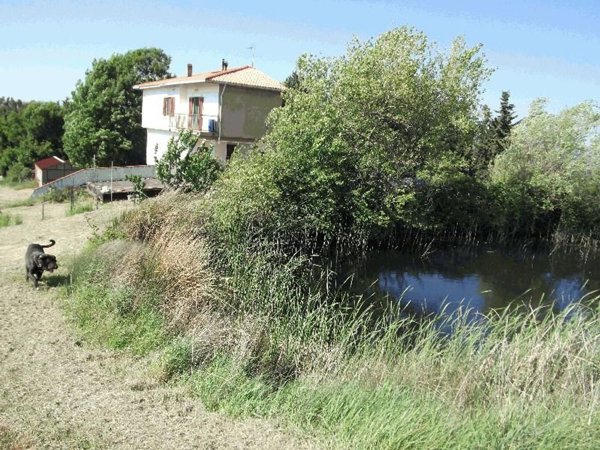 casa indipendente in vendita a Pomarance