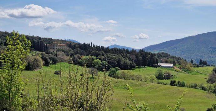 casa indipendente in vendita a Pomarance