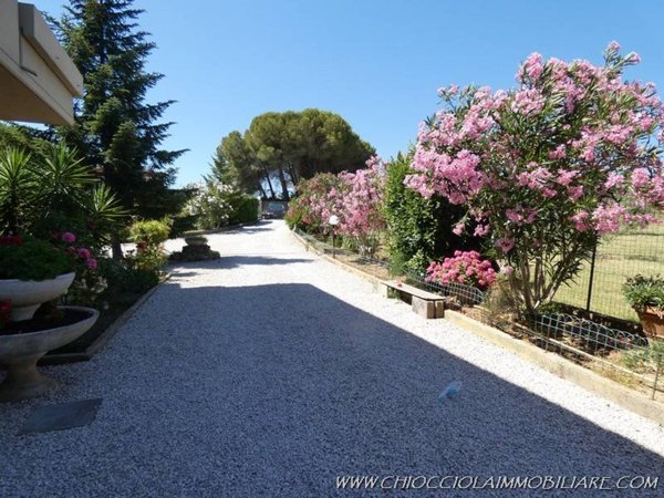 casa indipendente in vendita a Pomarance
