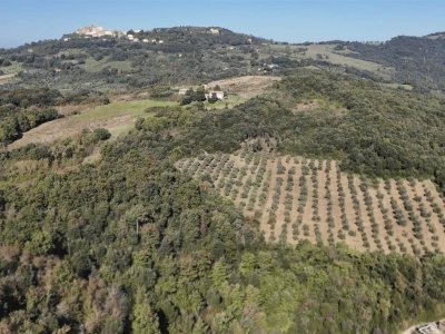 appartamento in vendita a Pomarance in zona Serrazzano