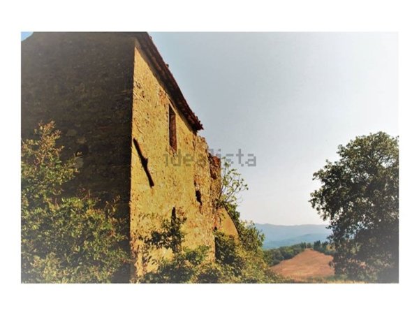 terreno agricolo in vendita a Pomarance