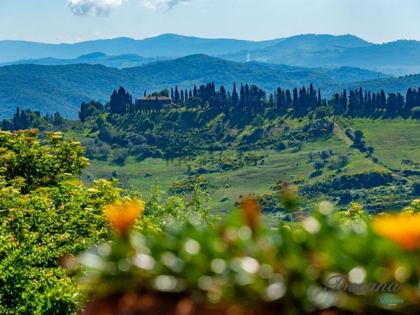 casa indipendente in vendita a Pomarance