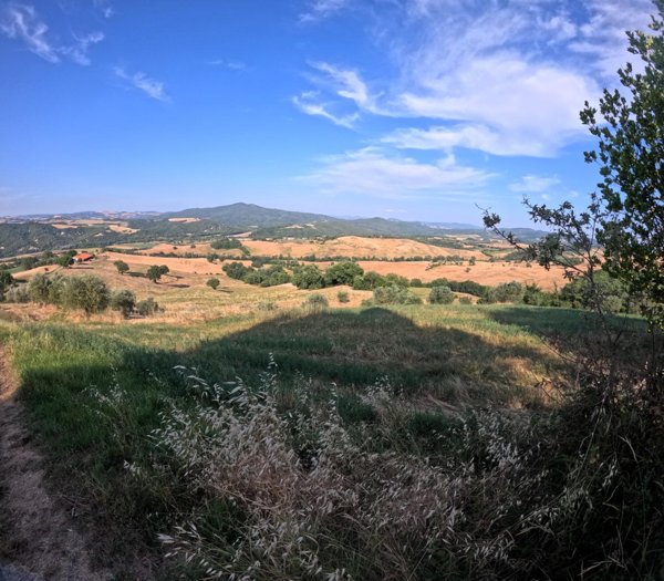 negozio in vendita a Pomarance