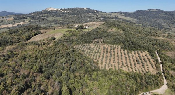 appartamento in vendita a Pomarance in zona Serrazzano