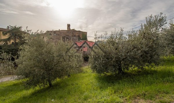 terreno agricolo in vendita a Pomarance in zona Montecerboli