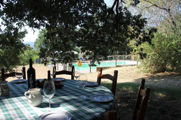 terreno agricolo in vendita a Pomarance