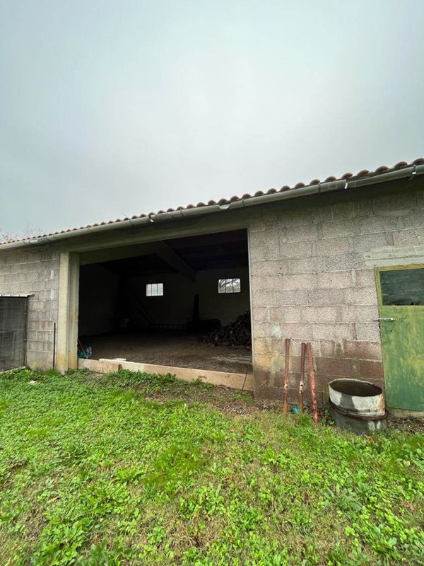 terreno agricolo in vendita a Pomarance