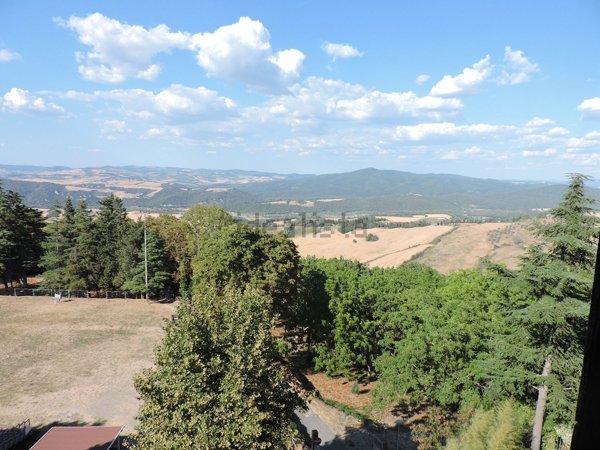 appartamento in vendita a Pomarance