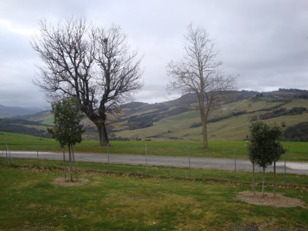 terreno agricolo in vendita a Pomarance