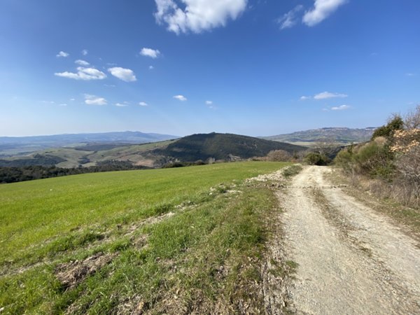 terreno agricolo in vendita a Pomarance in zona Serrazzano