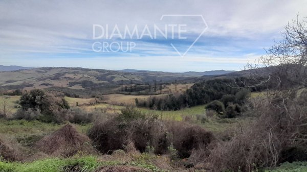 azienda agricola in vendita a Pomarance