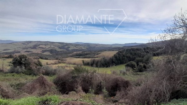 terreno agricolo in vendita a Pomarance