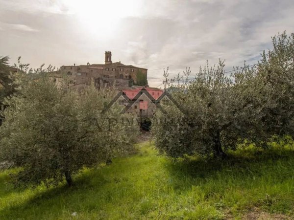 terreno agricolo in vendita a Pomarance in zona Montecerboli