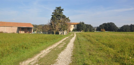 casale in vendita a Pomarance in zona Libbiano